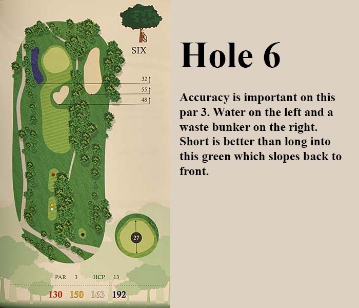 hole 6 overview