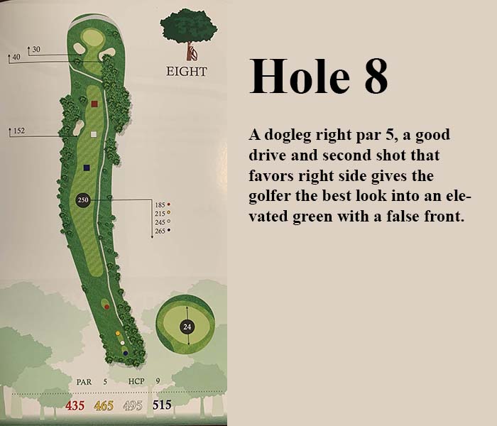hole 8 overview