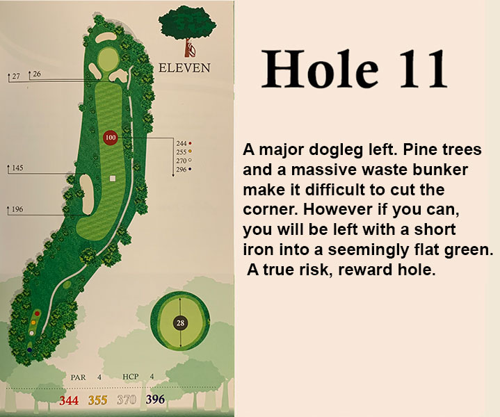 hole 11 overview