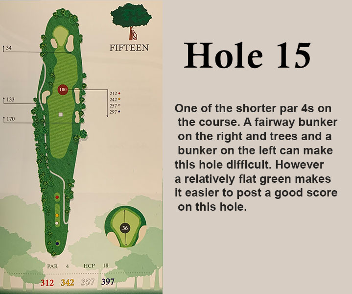 hole 15 overview