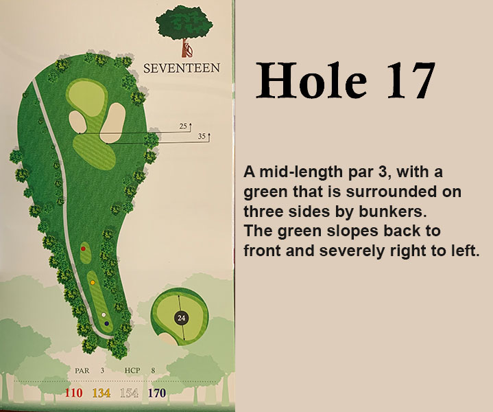 hole 17 overview