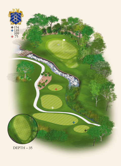 Hole 8 Map 