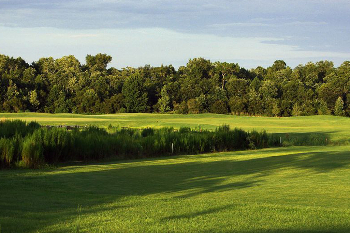 Course greens
