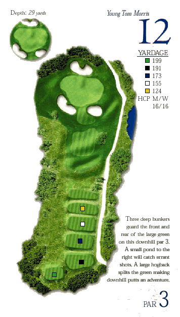 Hole 12 