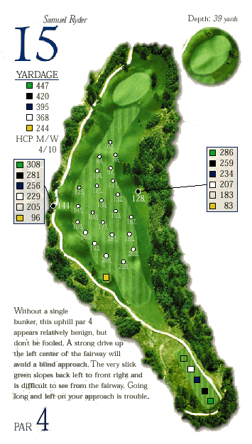 Hole 15 Graphic