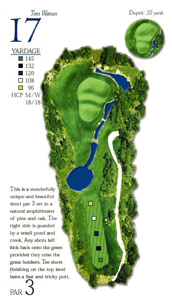 Hole 17 Graphic