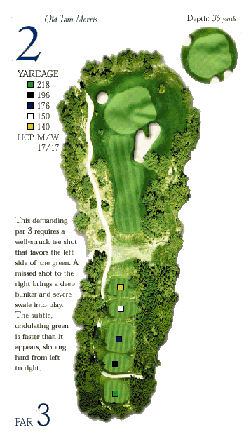 Hole 2 Graphic