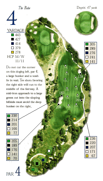 Hole 4 Graphic