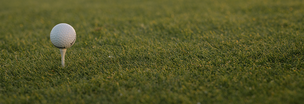 golf ball on tee on green