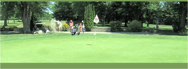 golfer chipping while group watches